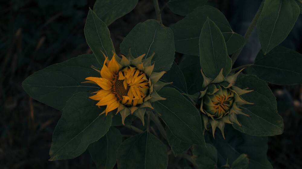 Фотография автора Сергей Кравцов