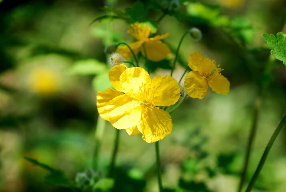 Photograph by Оксана Трофименко