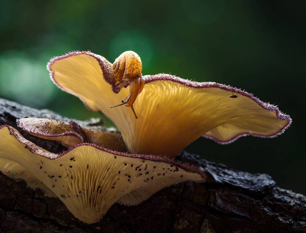 Photograph by Valdir Hobus