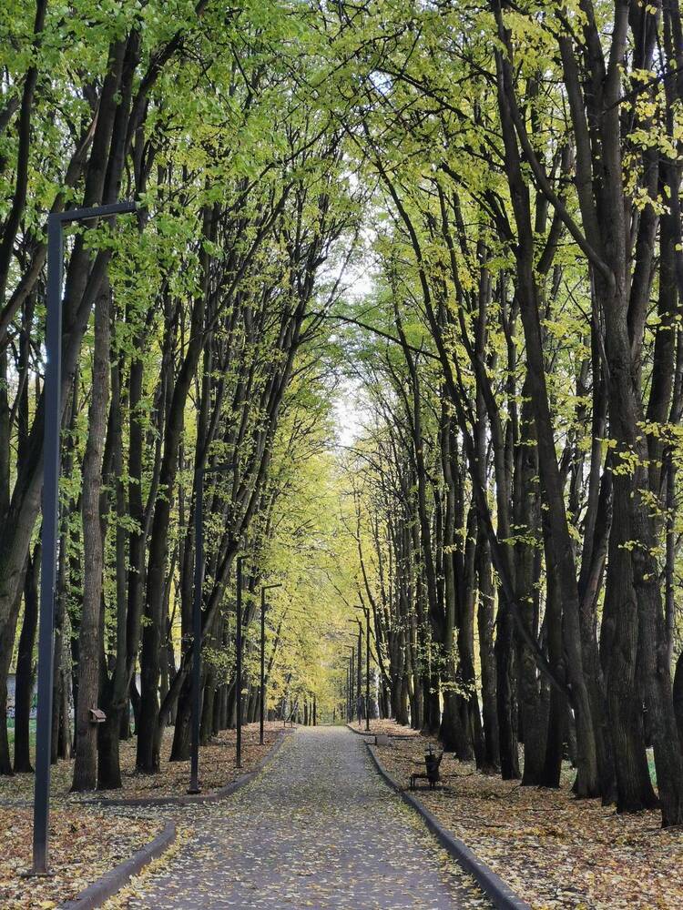 Фотография автора Сергей Кравцов