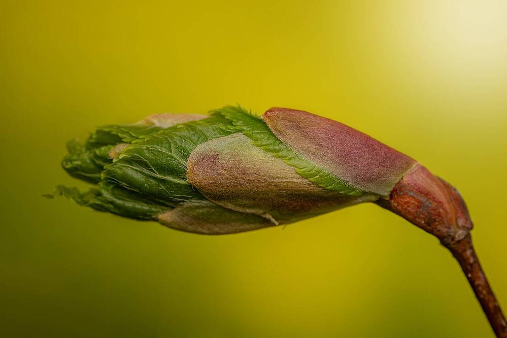 Фотография автора Виталий Сурков
