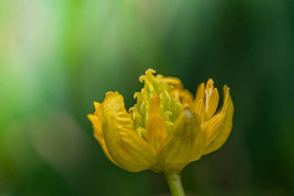 Фотография автора Виталий Сурков