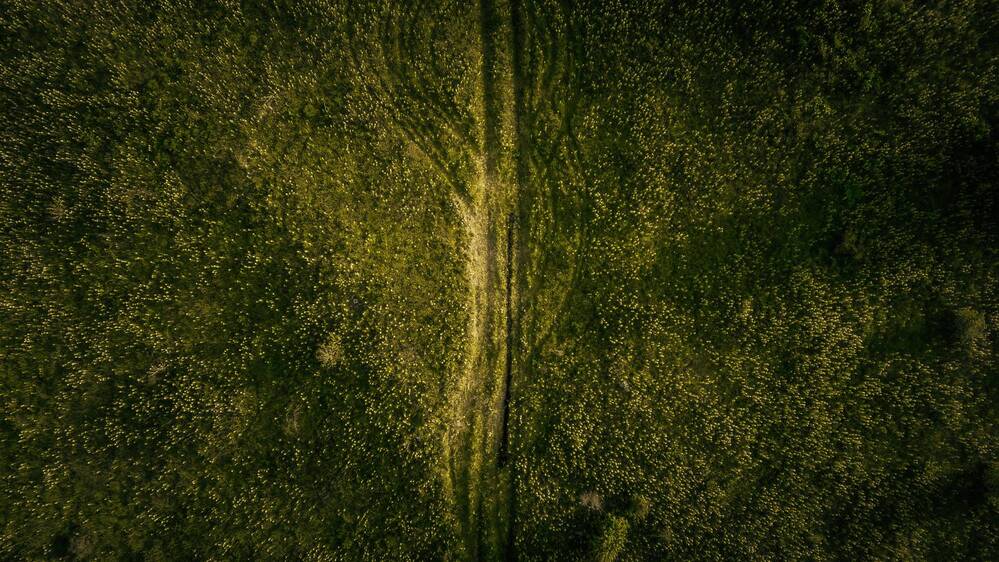 Фотография автора Artemi Artemov