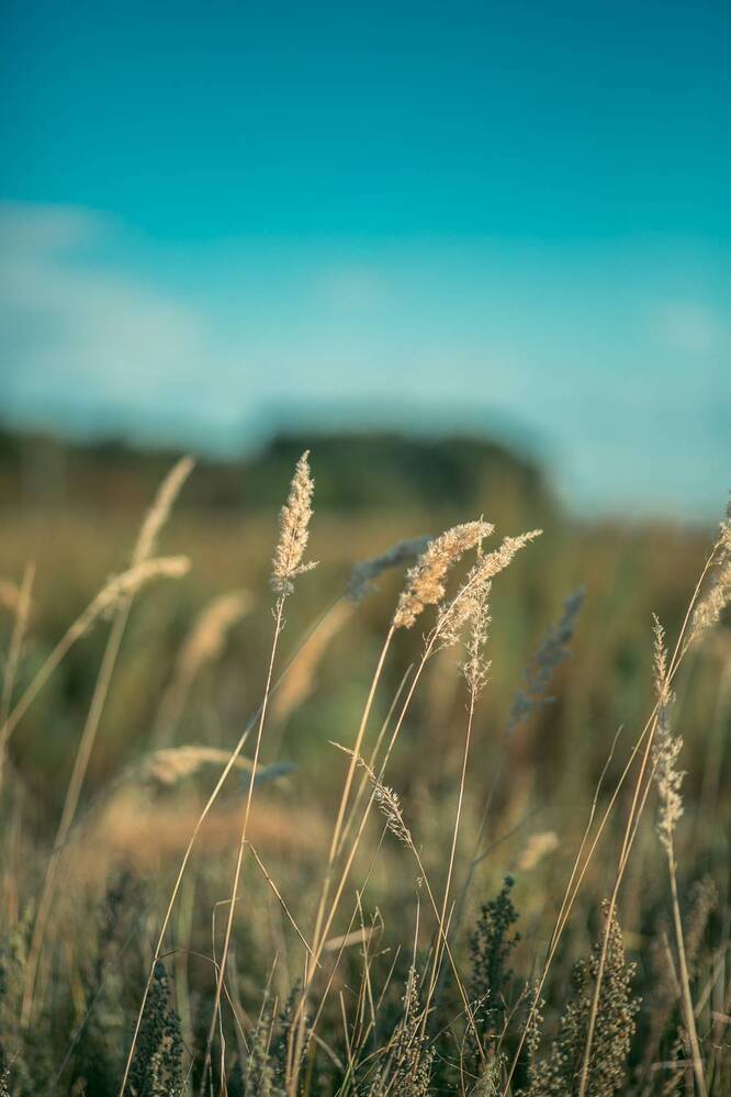 Фотография автора Елена Чиликина