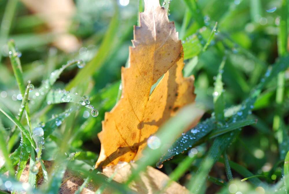 Photograph by Оксана Трофименко