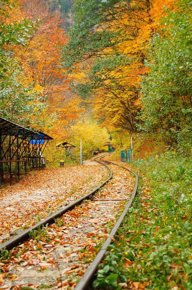 Photograph by Андрей Евтеев