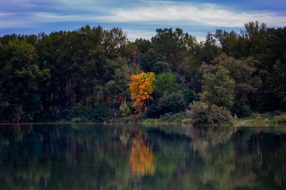 Photograph by Владимир Кваша