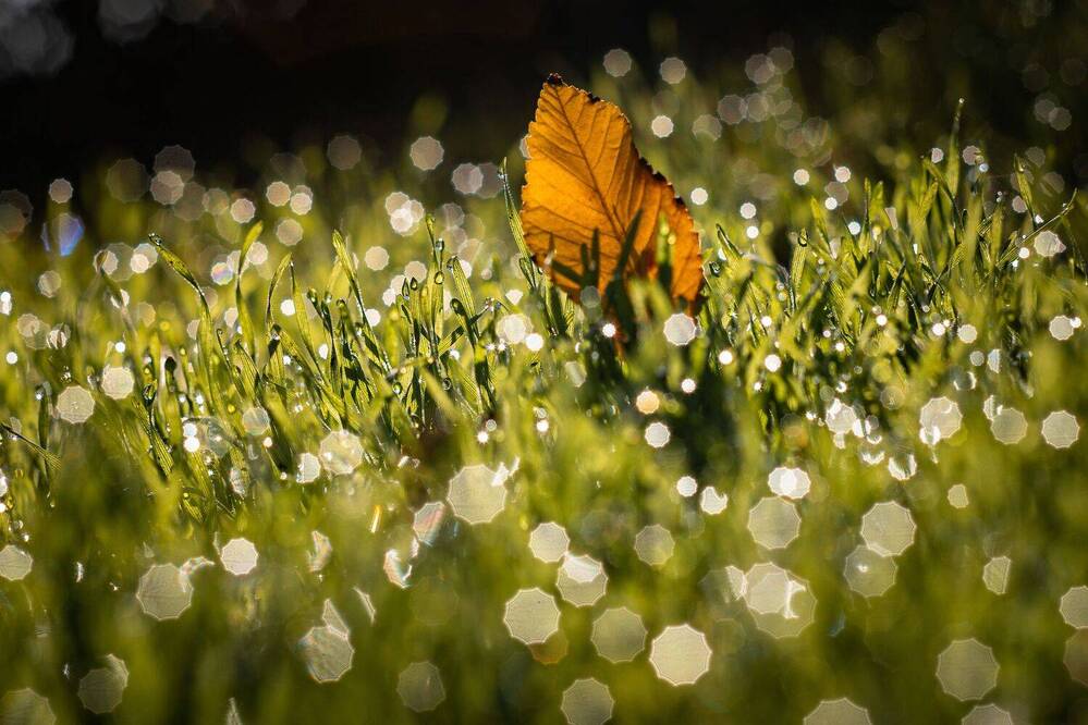 Photograph by Щербак Анатолий