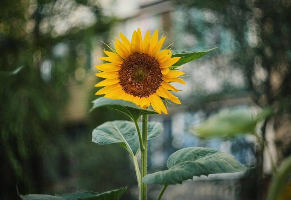 Photograph by Щербак Анатолий