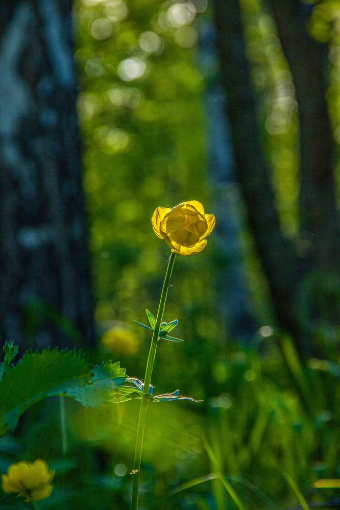 Photograph by Наиль Шакиров