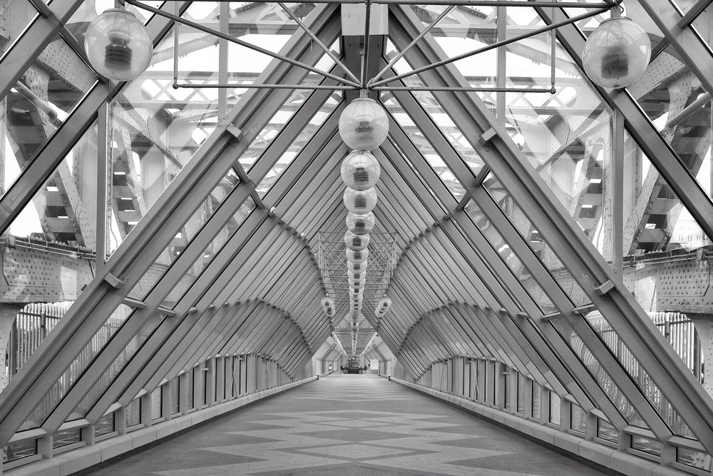 Фотография автора Зорин Миша