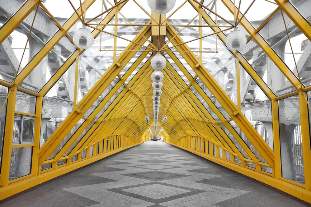 Фотография автора Зорин Миша
