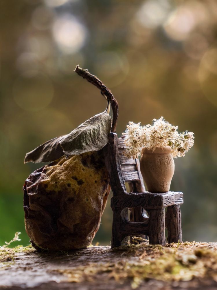 Photograph by Olga Schmidt