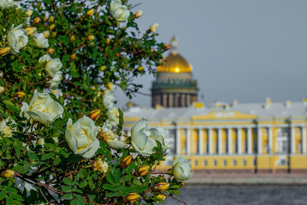 Photograph by Валерий Худынцев