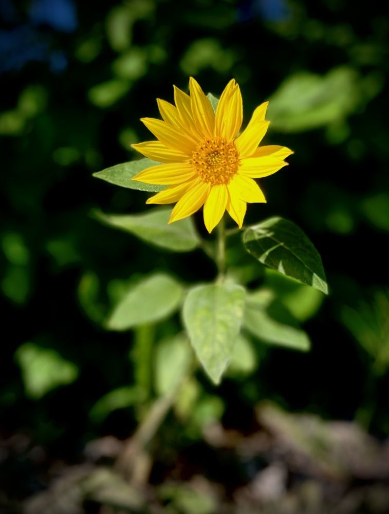 Photograph by Марина Козлова