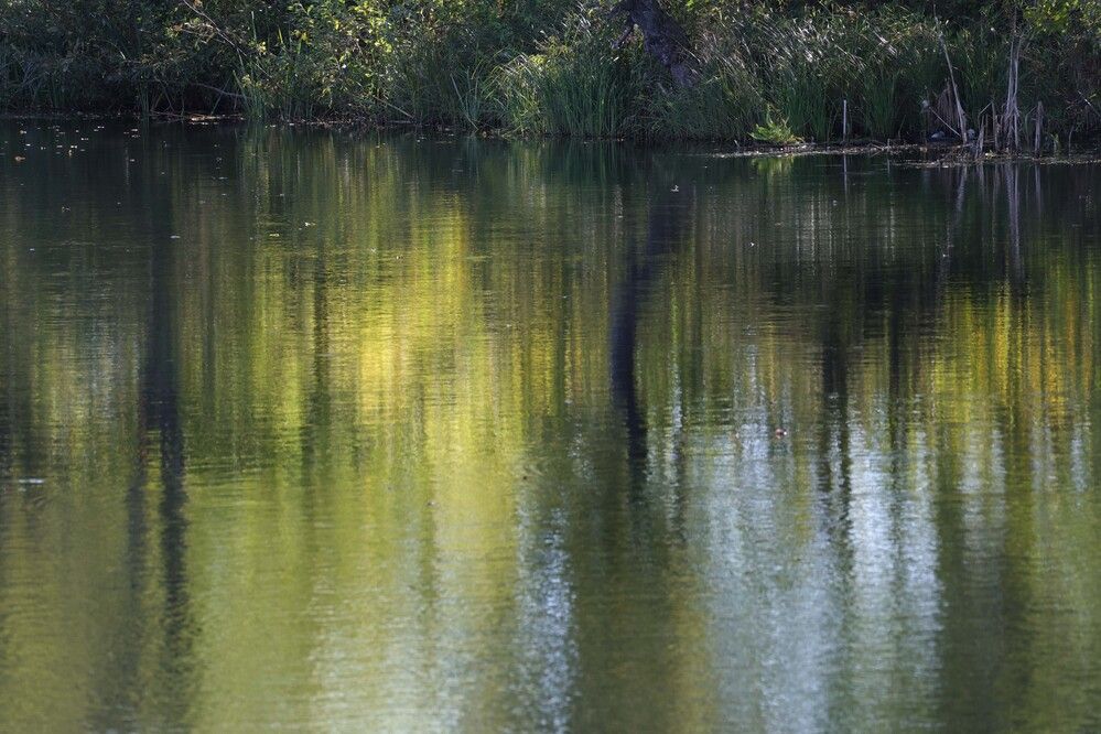 Photograph by Вера Почкалина