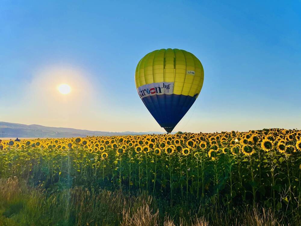 Фотография автора Katrina Koleva