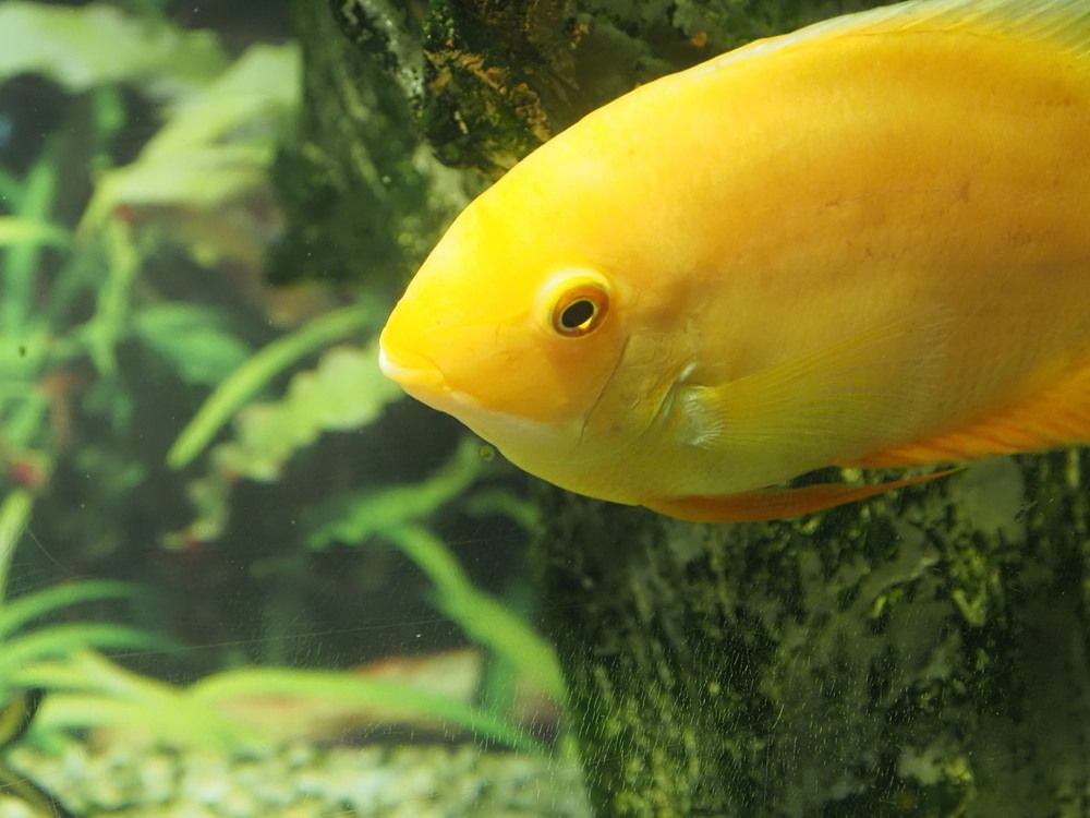 Photograph by Сергей Борисов