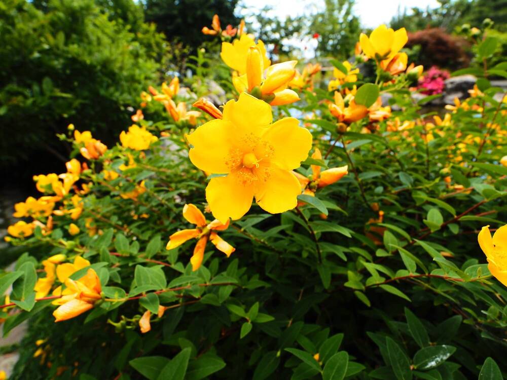 Photograph by Сергей Борисов