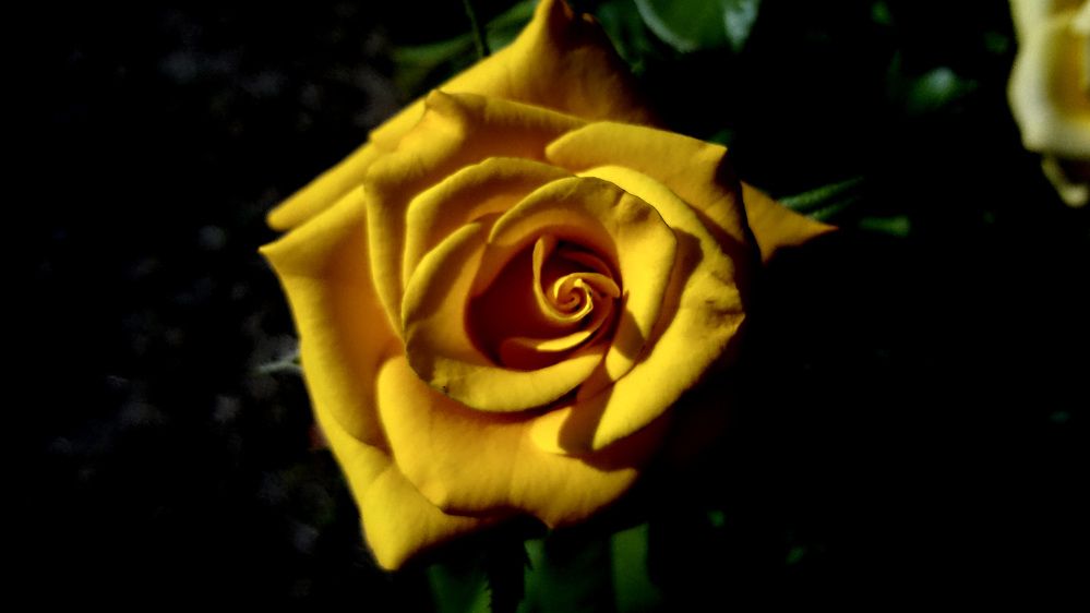 Photograph by Юлия Шадрина