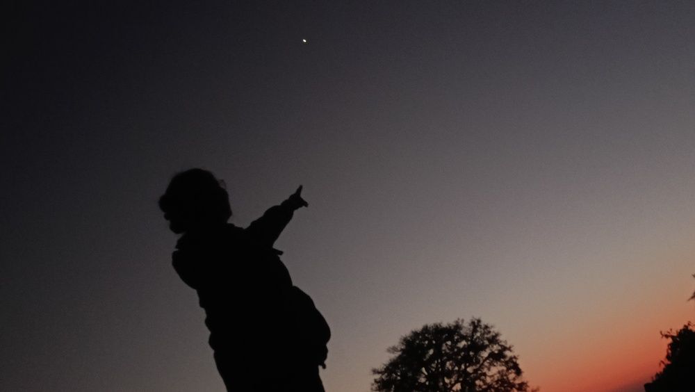 Photo #12613224