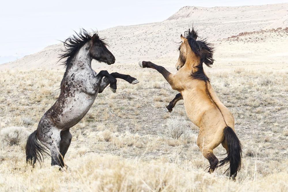 Photograph by Martine BOUR