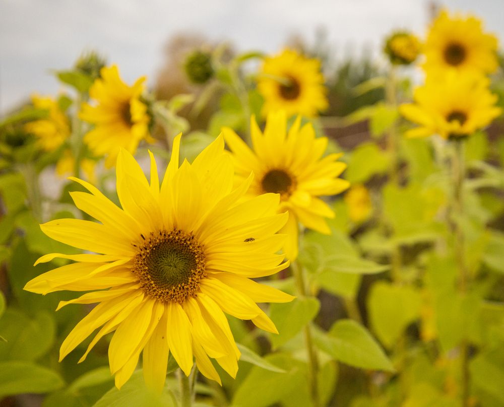 Photograph by Mikhail Tatanov