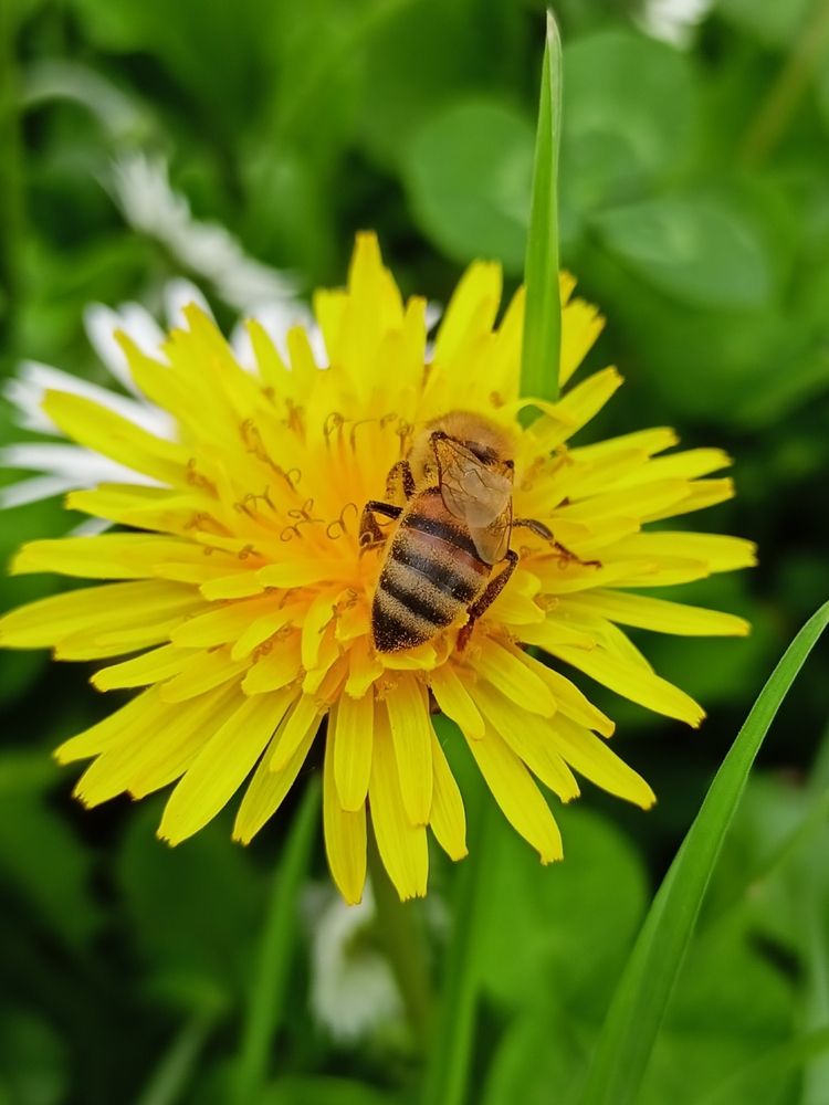 Photograph by Дарья Кирина