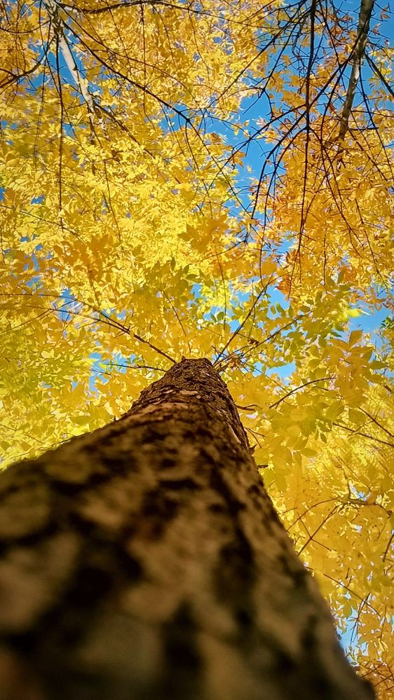 Photograph by Дарья Кирина