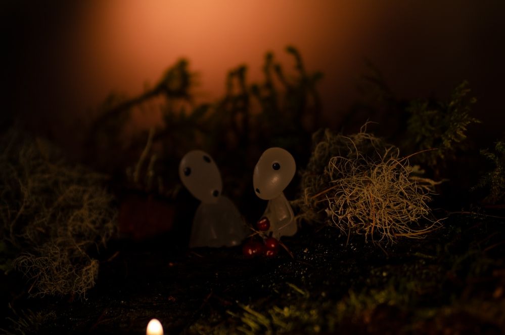 Photograph by Эльвира Быкова