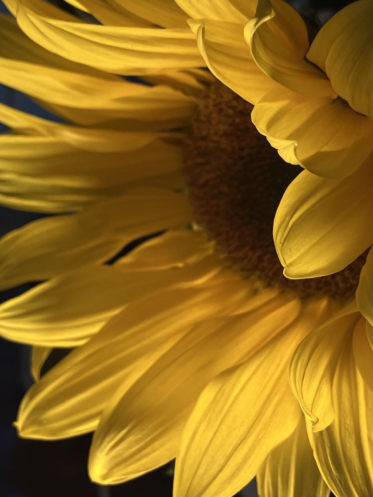 Photograph by Мария Карпычева