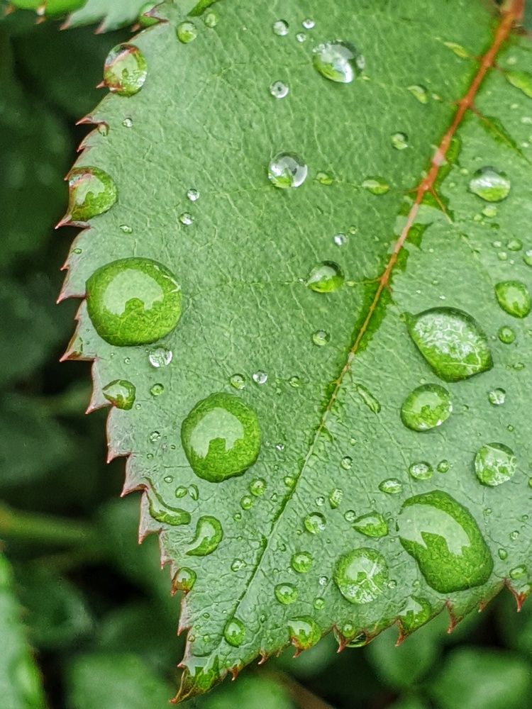 Photograph by Ольга