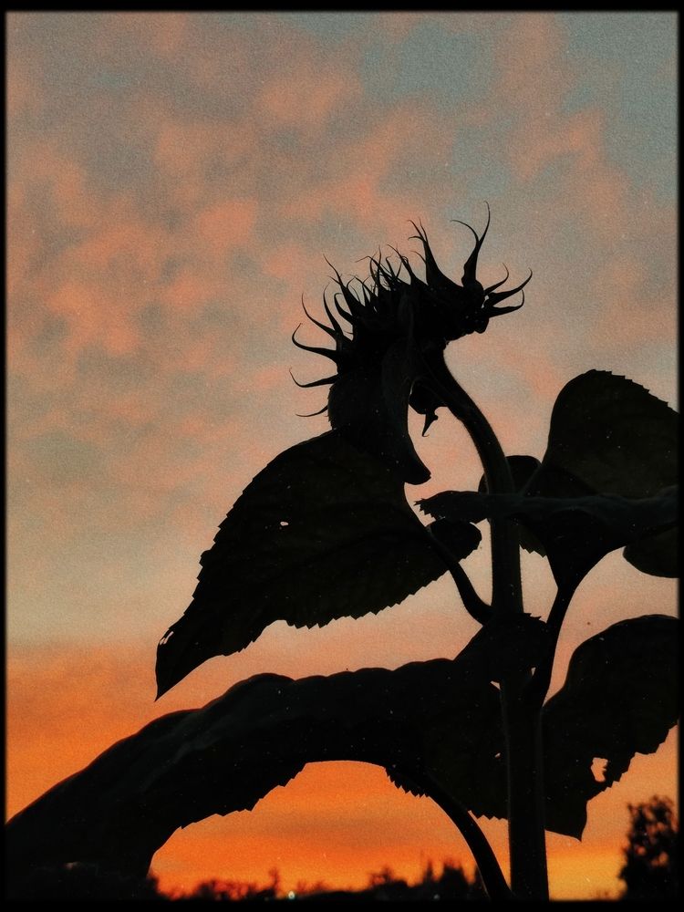 Photograph by Анастасия Гаврилова