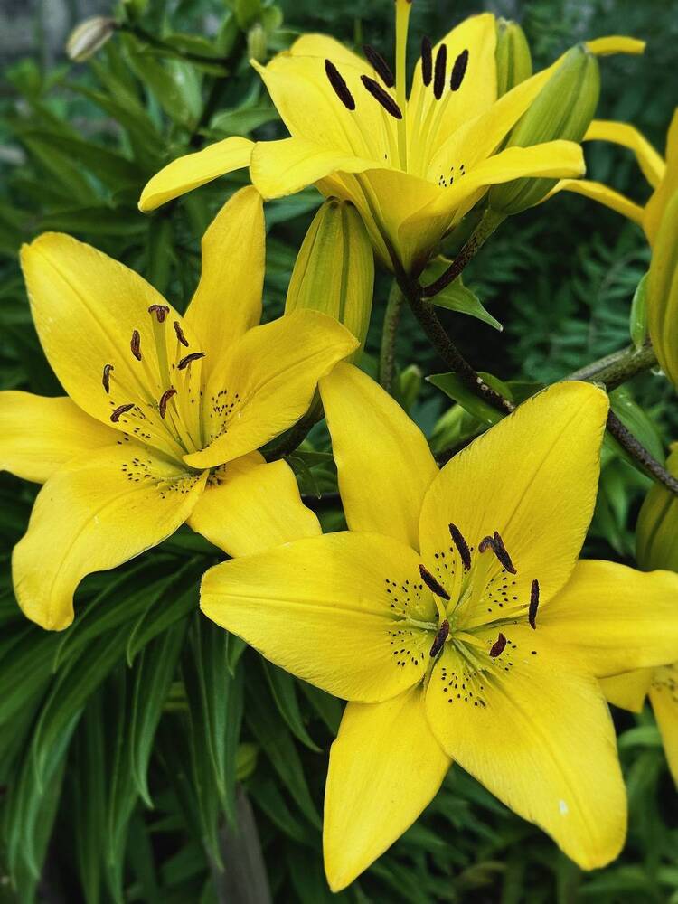 Photograph by Анна Ермак