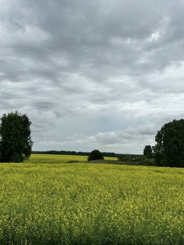 Фотография автора Злывко Владимир