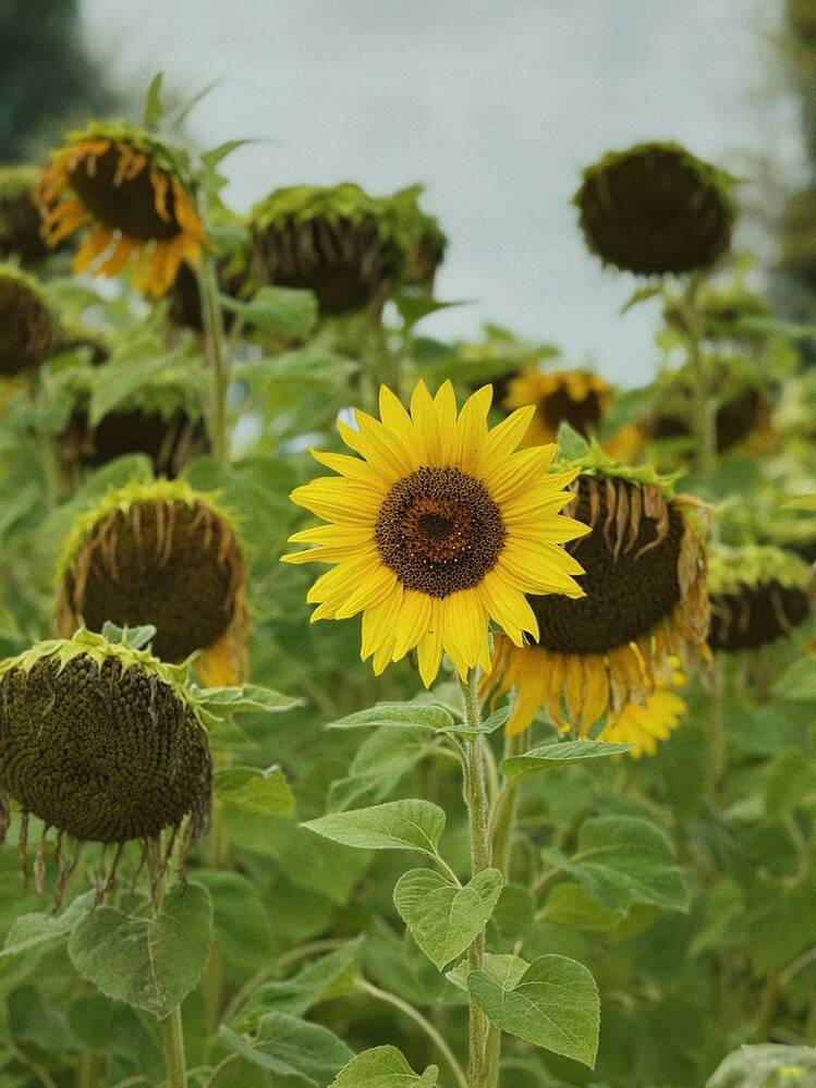 Photograph by Анна Ермак