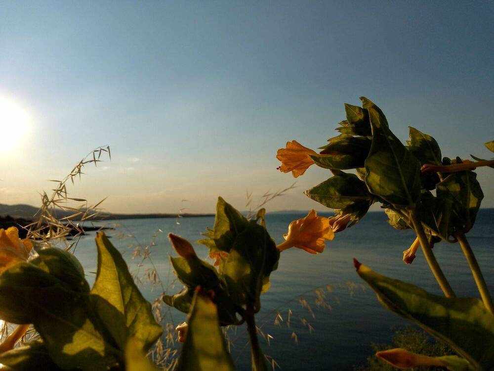 Фотография автора Liliya Slavcheva