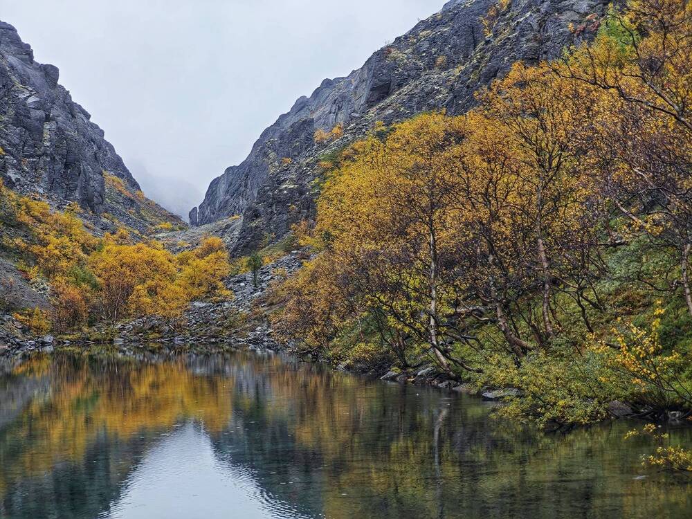 Photograph by Lev Kaufman