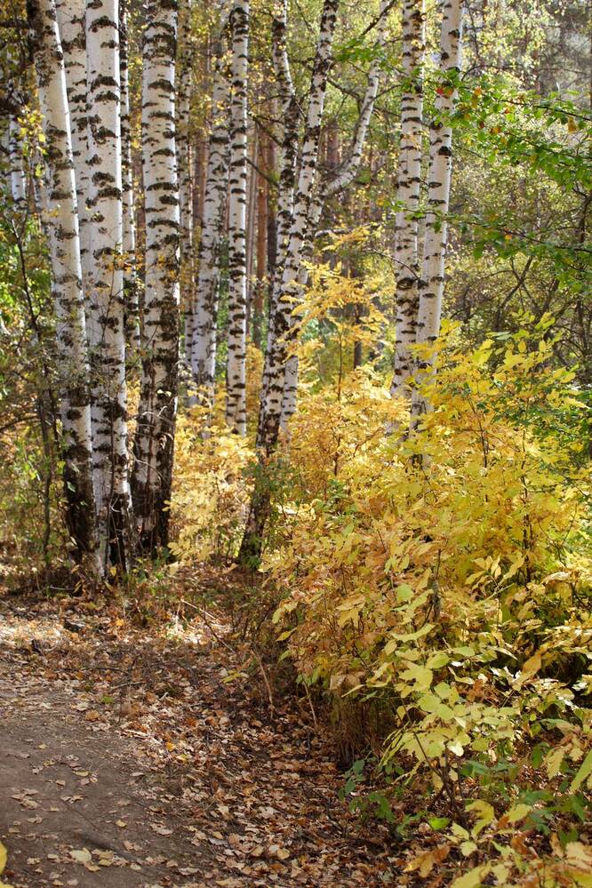 Фотография автора Марина Борисова