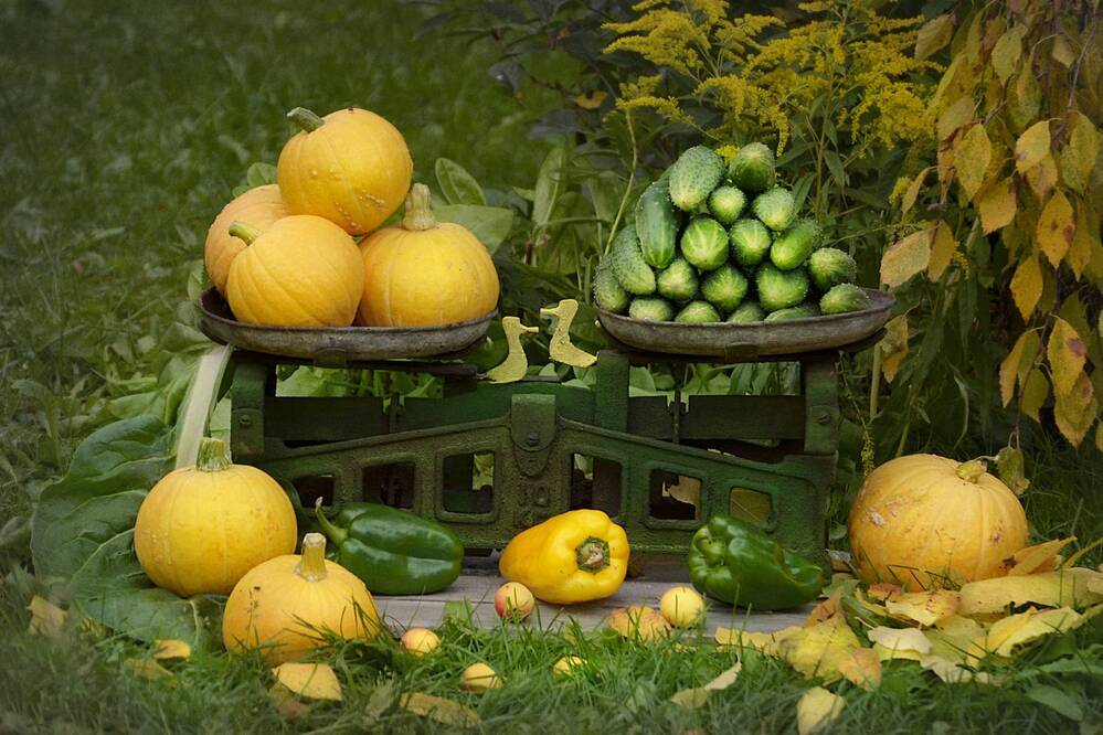 Photograph by Соколова Елена