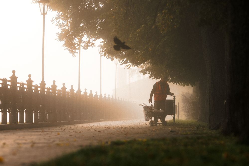 Photograph by Владимир Петухов