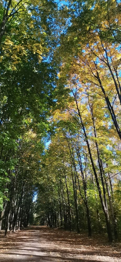 Photograph by Alexey Reznichenko