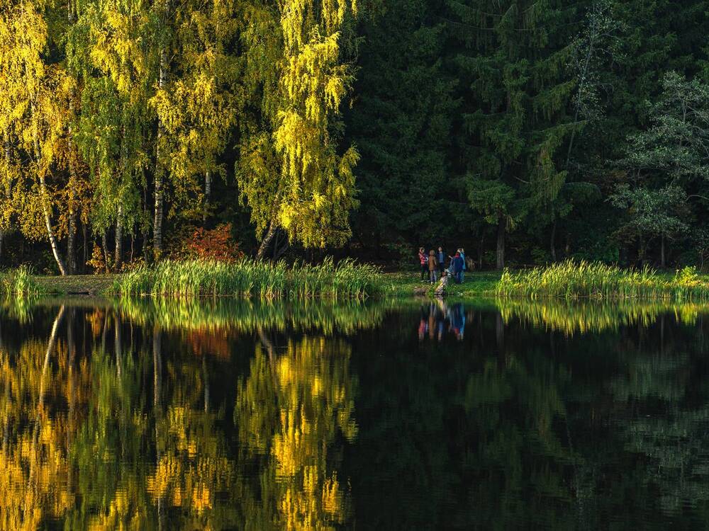 Photograph by Галина Искандарова