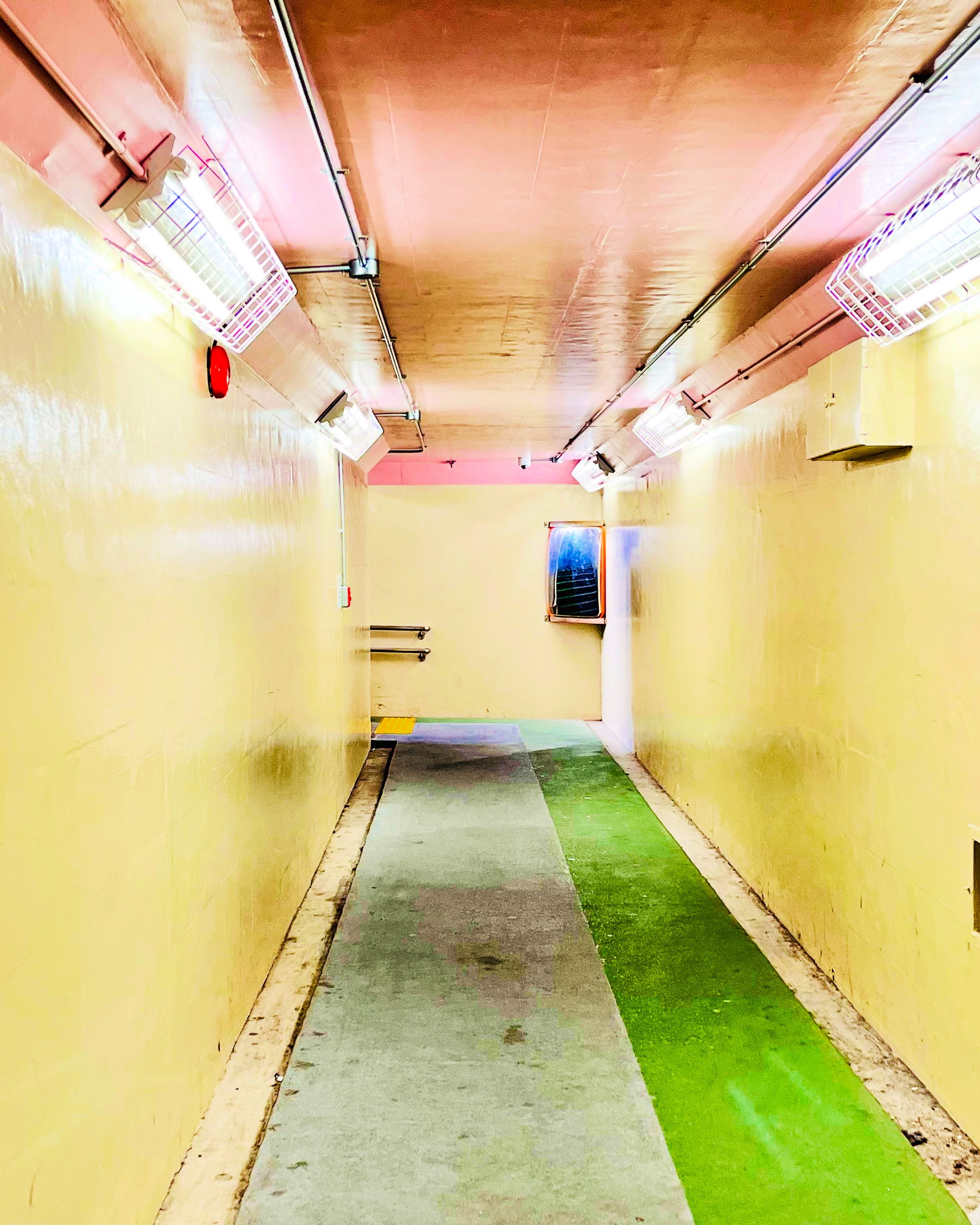 Photograph by _ Hironko_