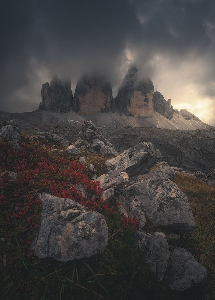 Photograph by de Franzoni Thomas