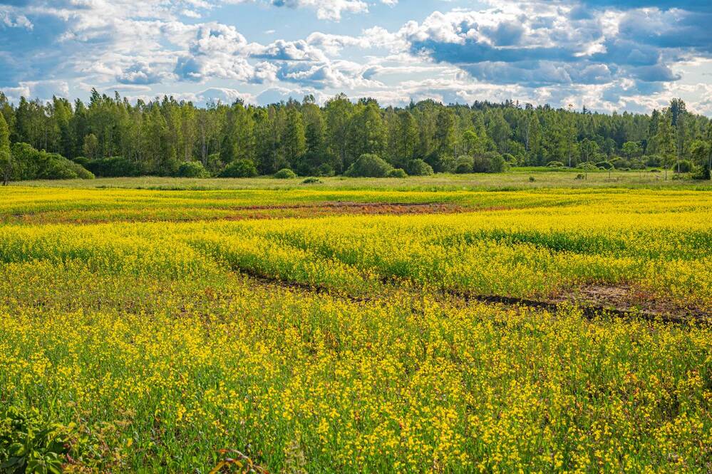 Photograph by Tanzilya Gabidullina