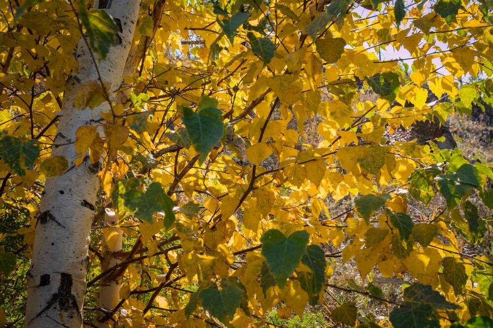 Photograph by Константин Искучеков