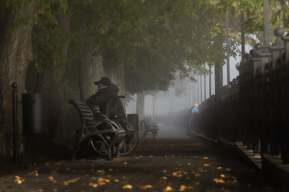 Photograph by Владимир Петухов