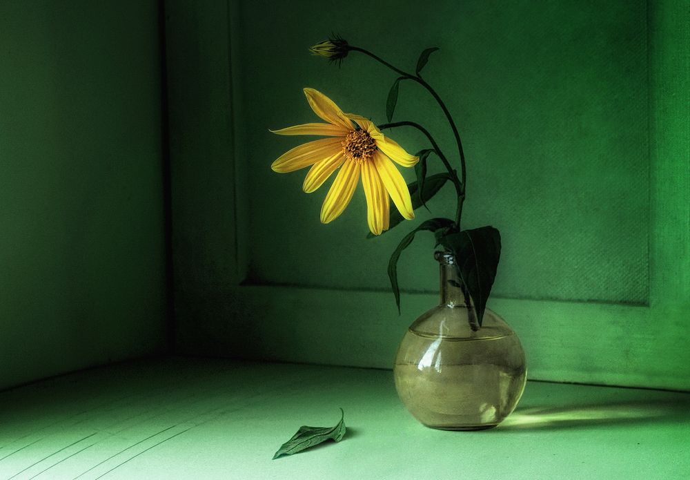 Фотография автора Е лена Е