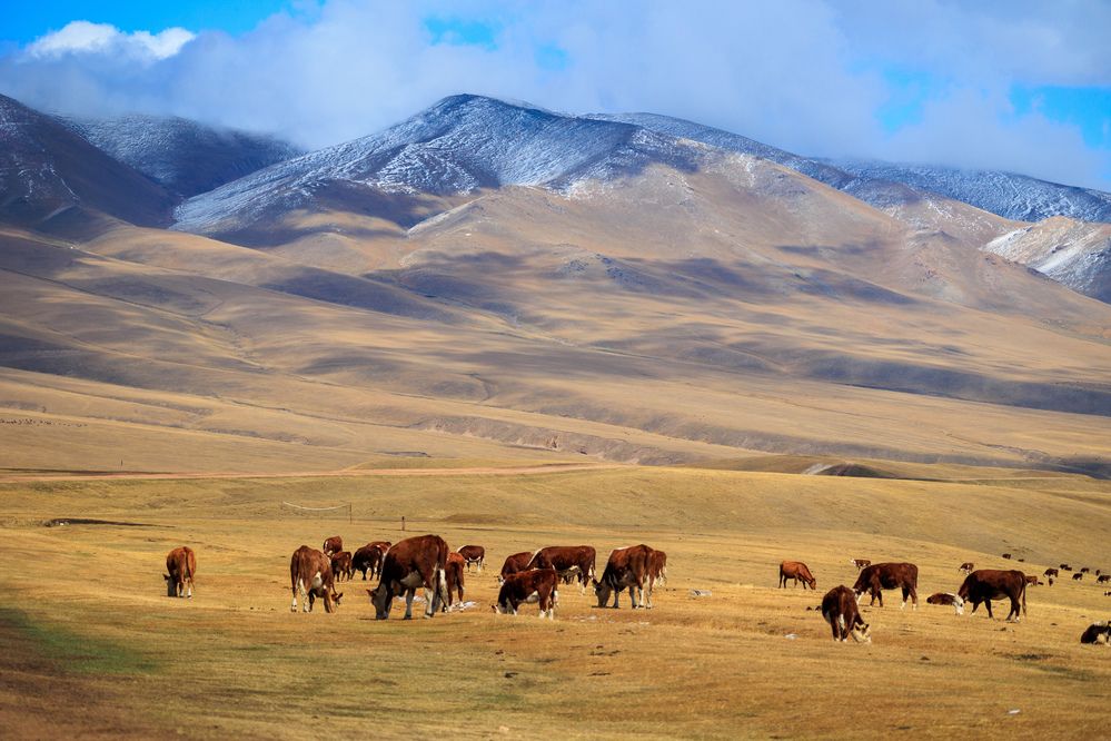 Photograph by Юлия Мальнева